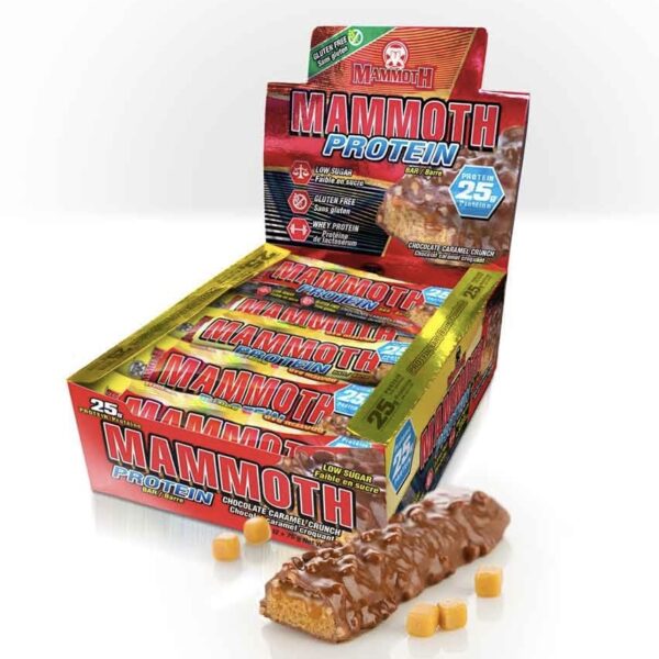 پک 12 عددی پروتئین بار برند ماموت ۲۵گرم پروتئین با طعم شکلات و کارامل 65g mammoth