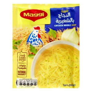 سوپ مرغ و رشته مگی